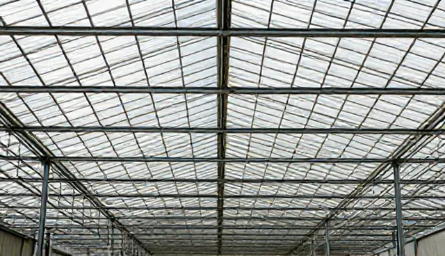 技术支持选型中的务实原则与建议
